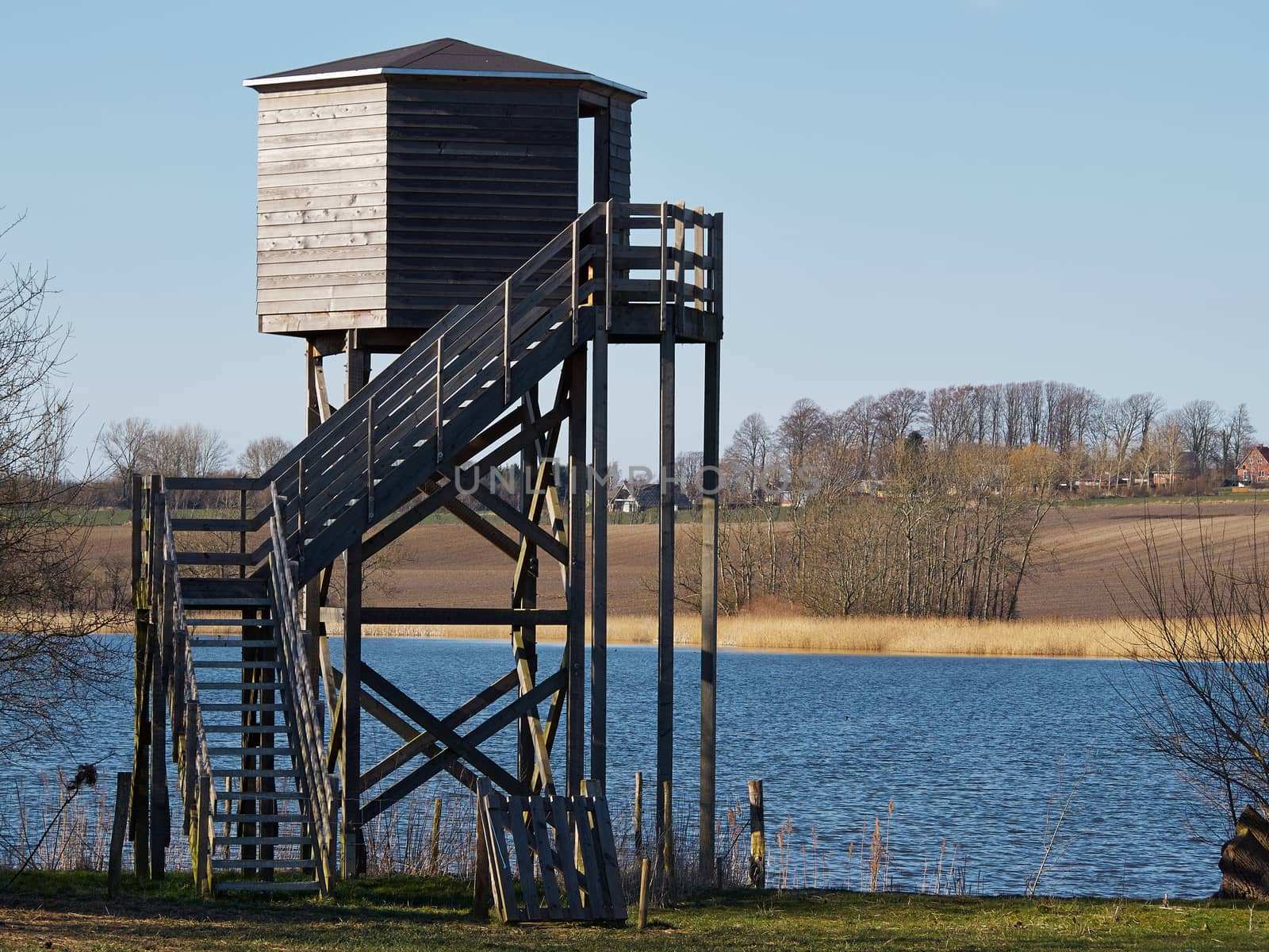 Bird watching birding wildlife observation tower in a nature park