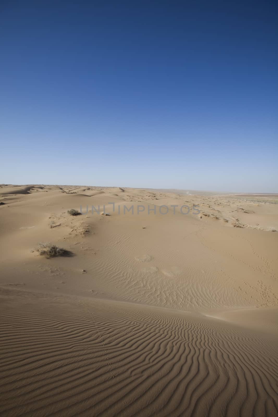 Desert dunes in Iran, wonderful saturated travel theme