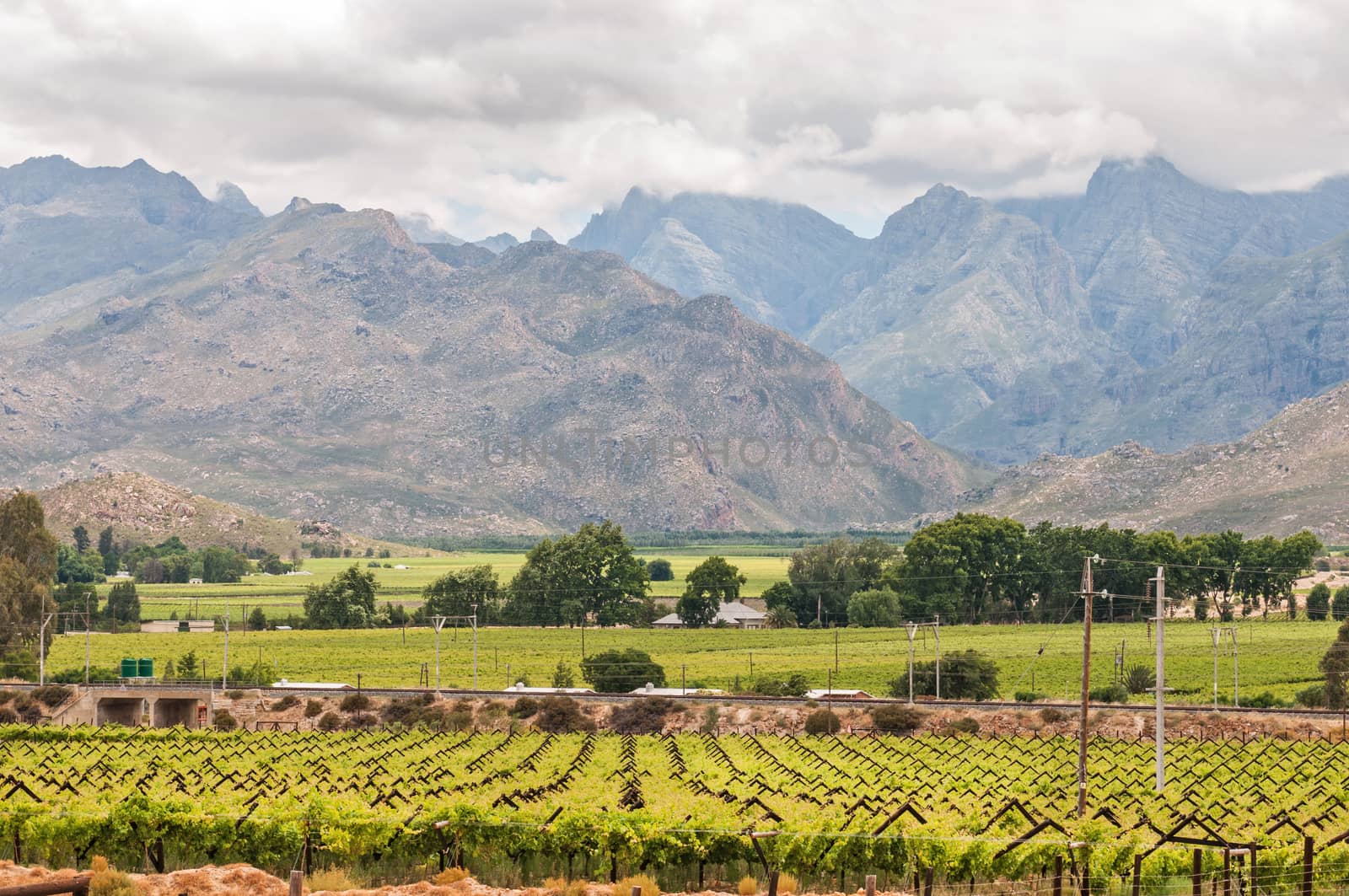 View to the west from the N1 road to the mountains of the Hex River Valley