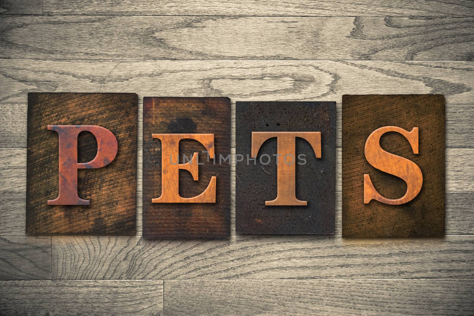 Pets Wooden Letterpress Theme by enterlinedesign