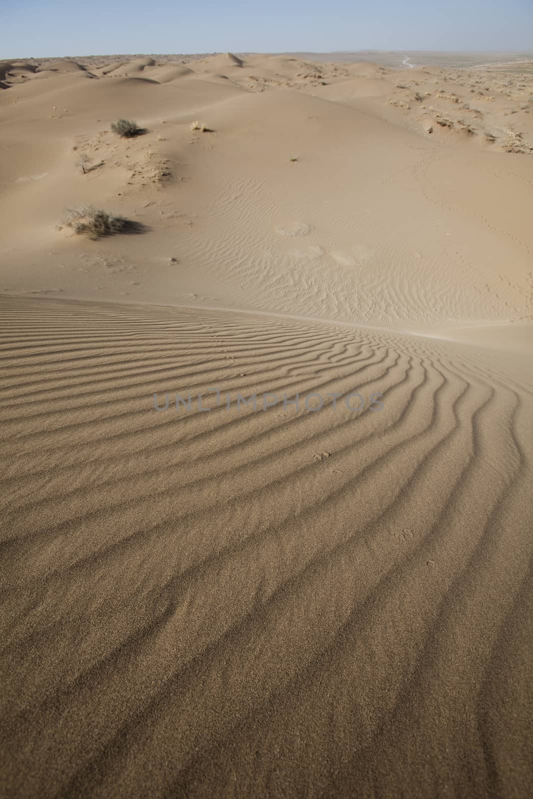 Desert dunes in Iran, wonderful saturated travel theme by JanPietruszka