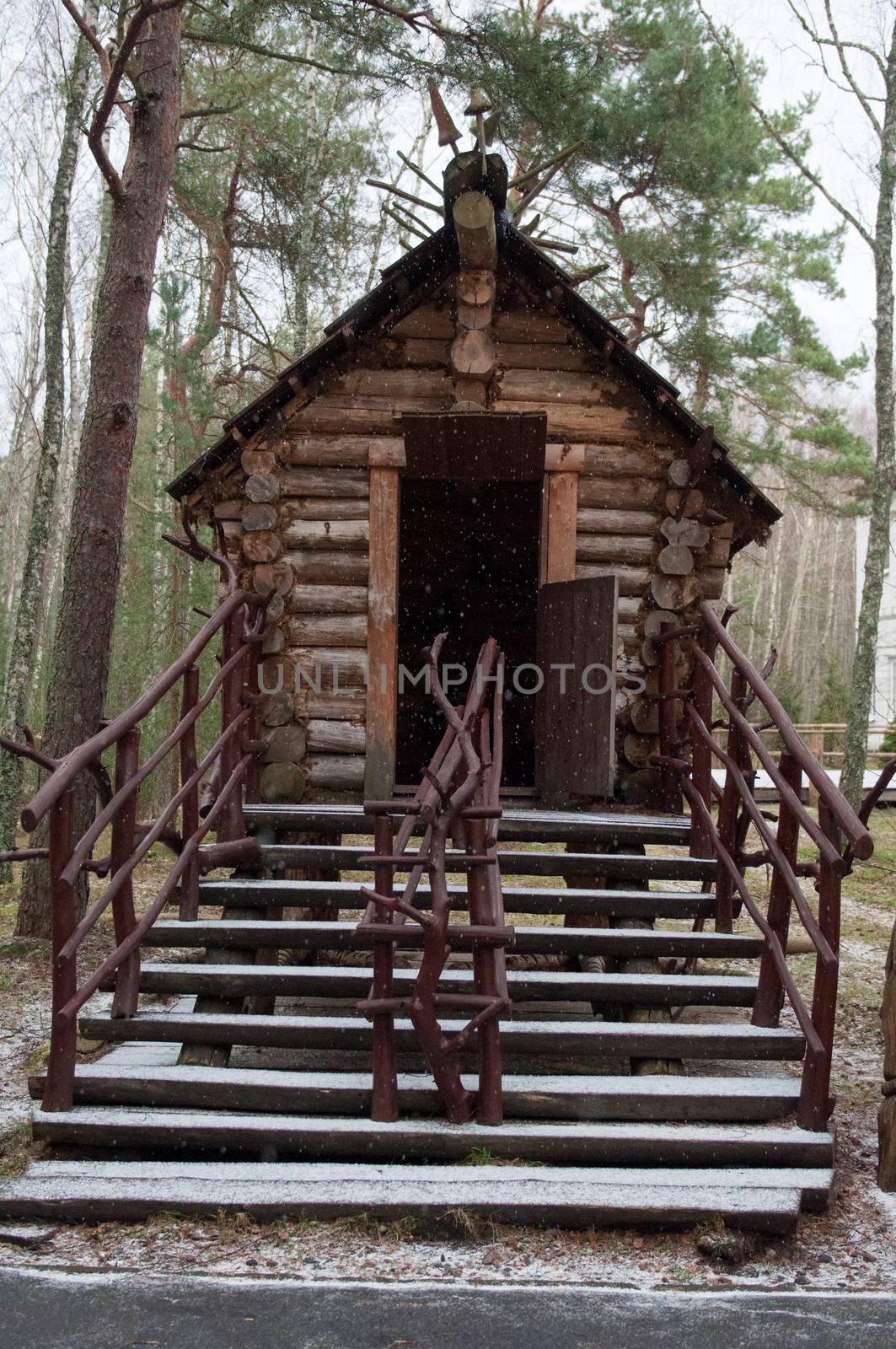 Old wooden house in the woods. Autumn season. Pine forest.