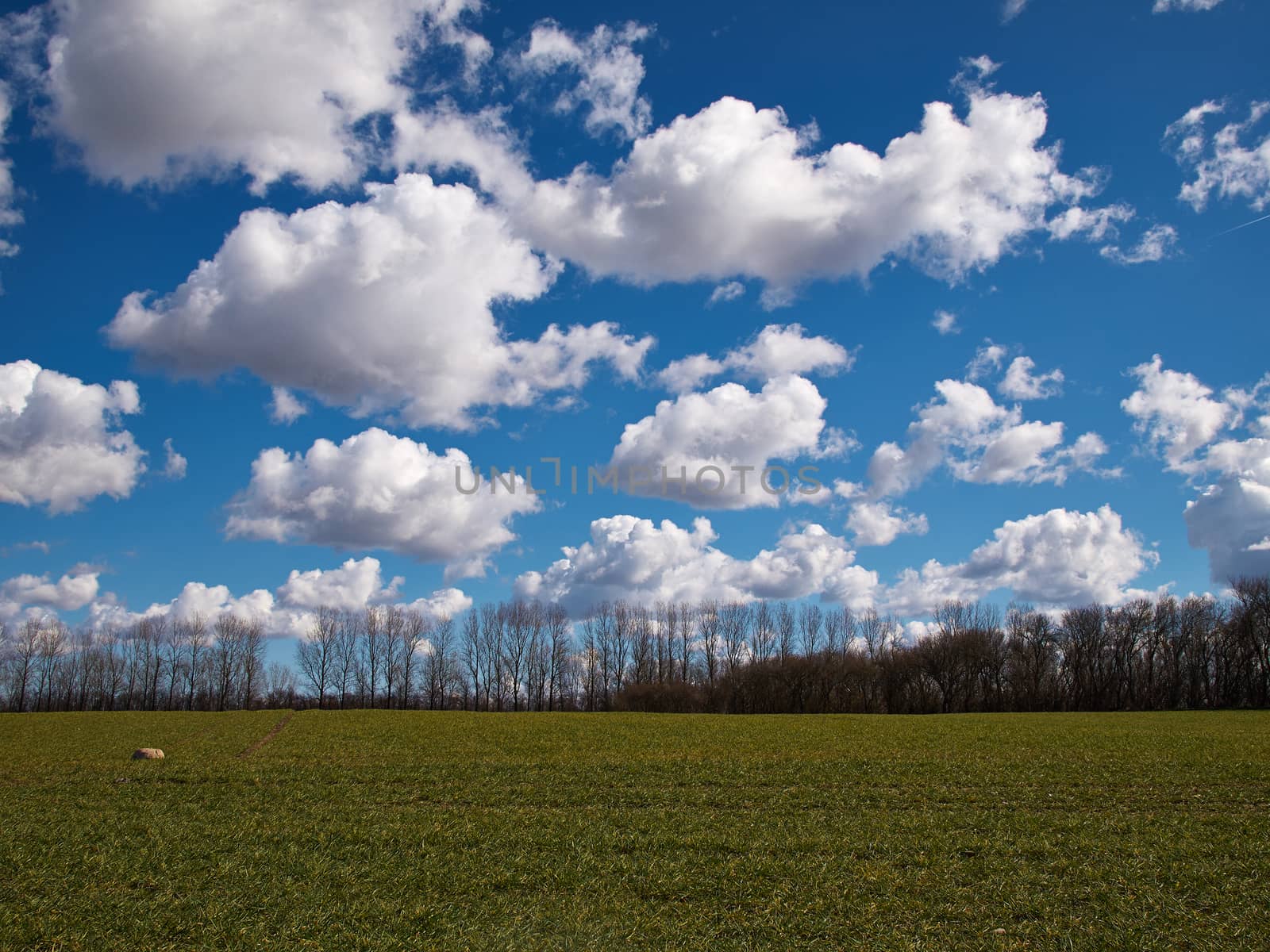 Green field and blue sky with clouds nature background