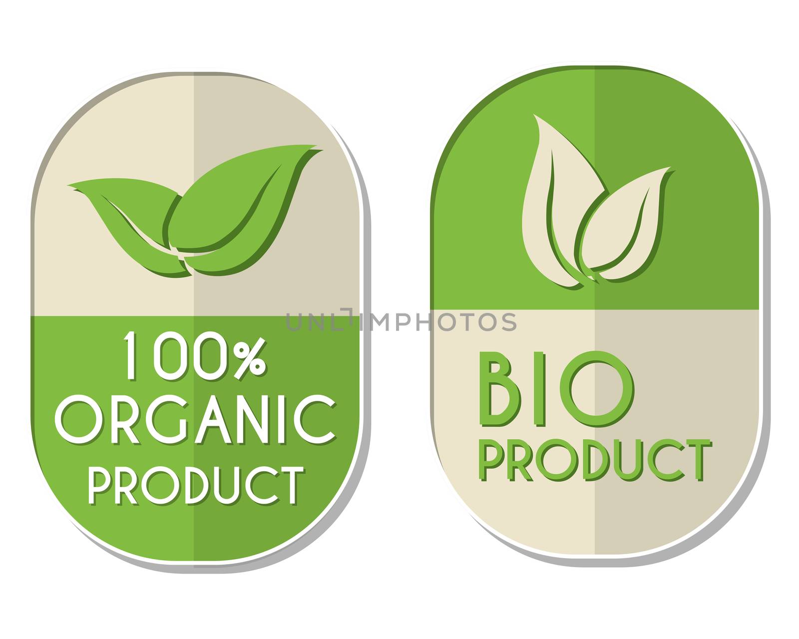100 percent organic and bio product with leaf signs banners, two elliptic flat design labels with text and symbol, business eco concept
