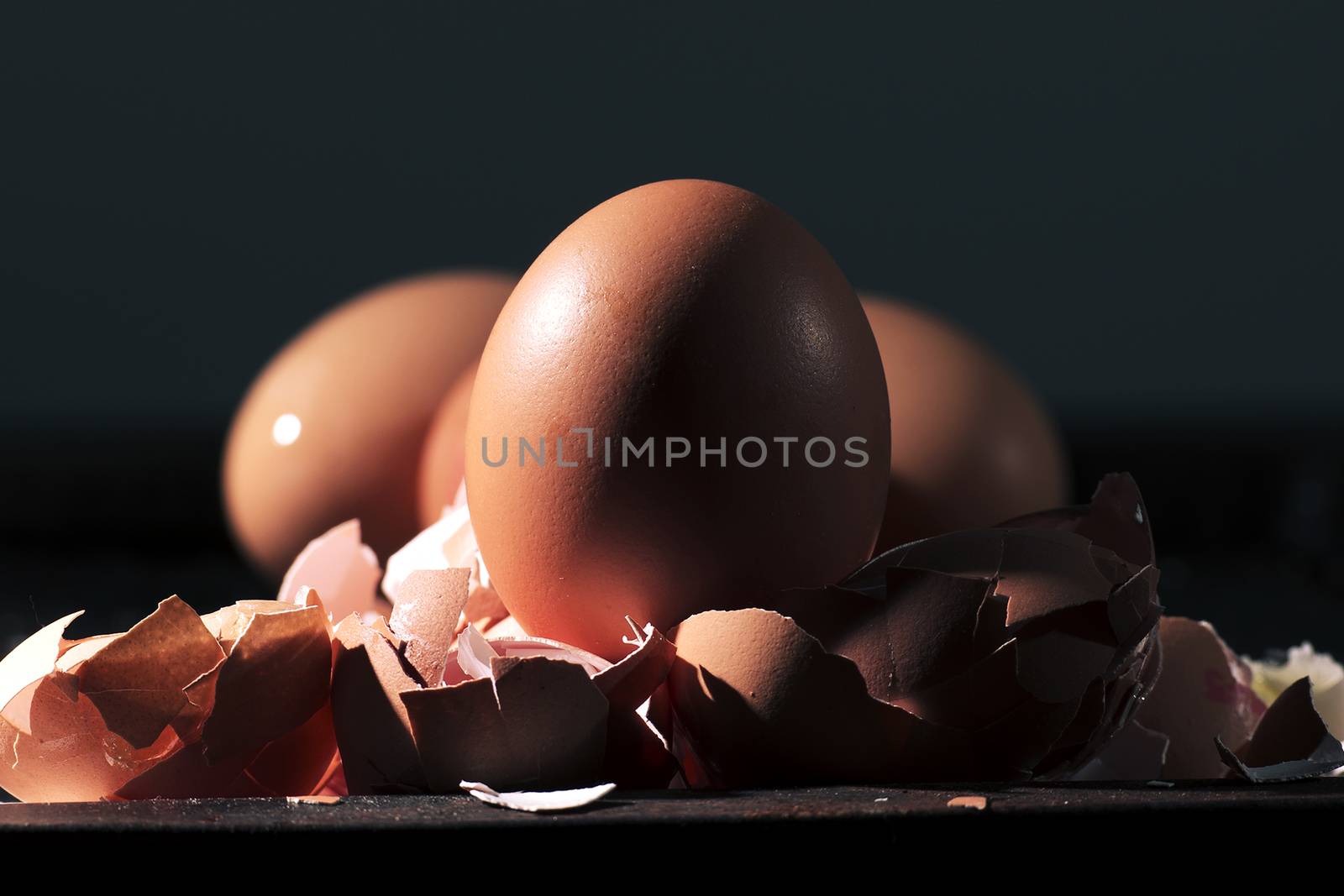 Low light with high contrast lighting of a bunch of eggs whole and crushed shells.