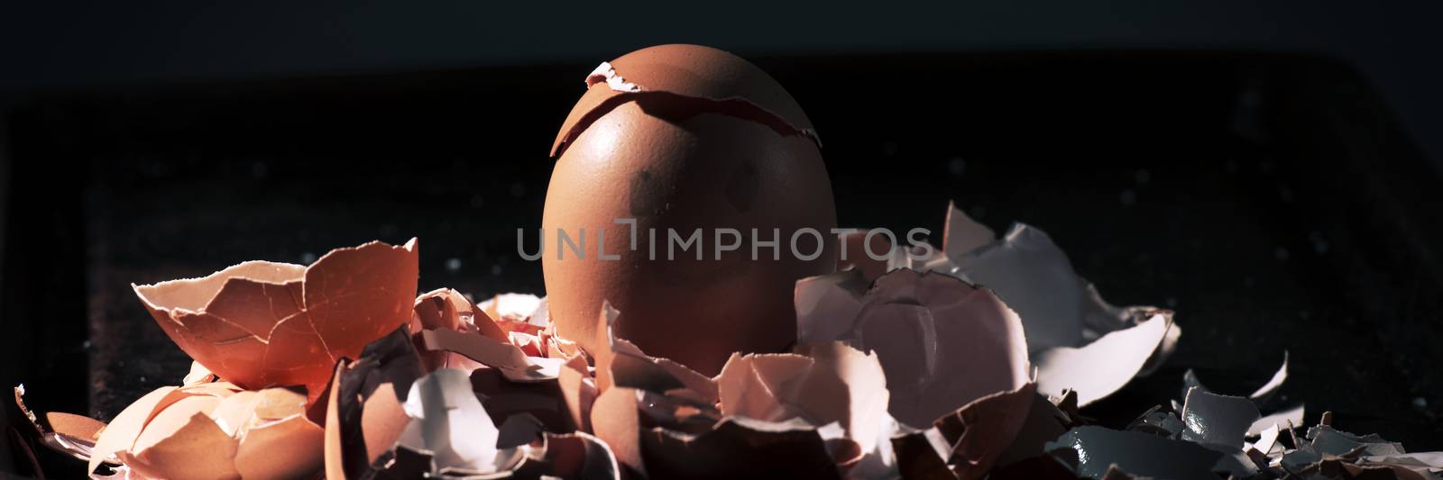 Bunch of eggs whole and crushed shells by artistrobd