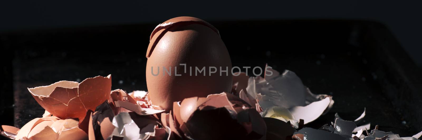 Bunch of eggs whole and crushed shells by artistrobd