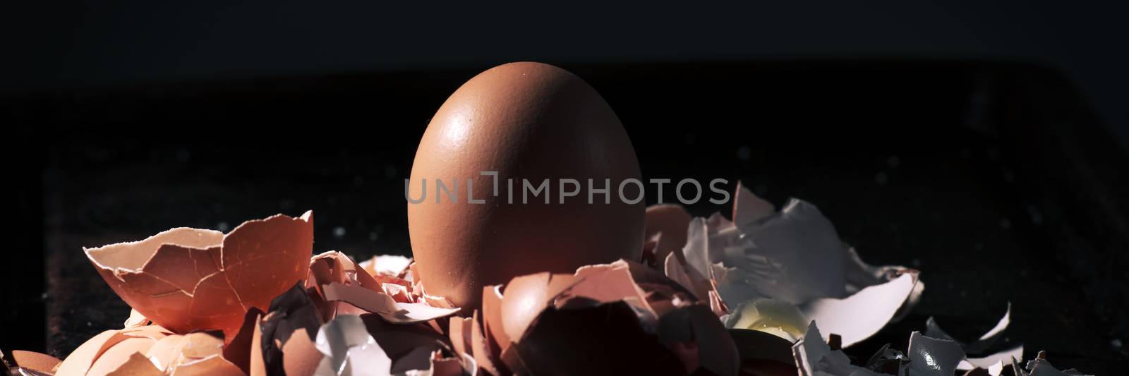 Low light with high contrast lighting of a bunch of eggs whole and crushed shells.