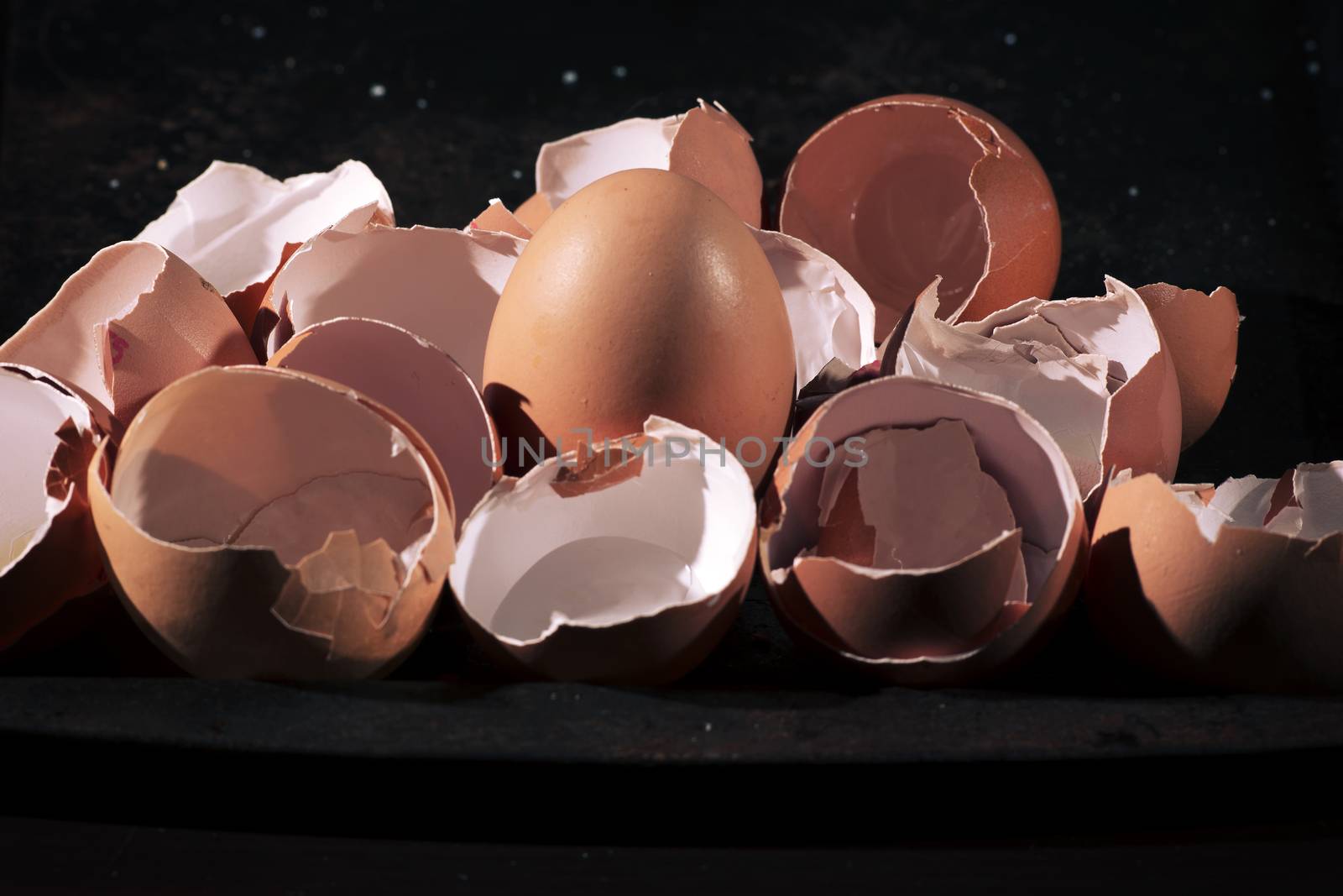 Bunch of eggs whole and crushed shells by artistrobd