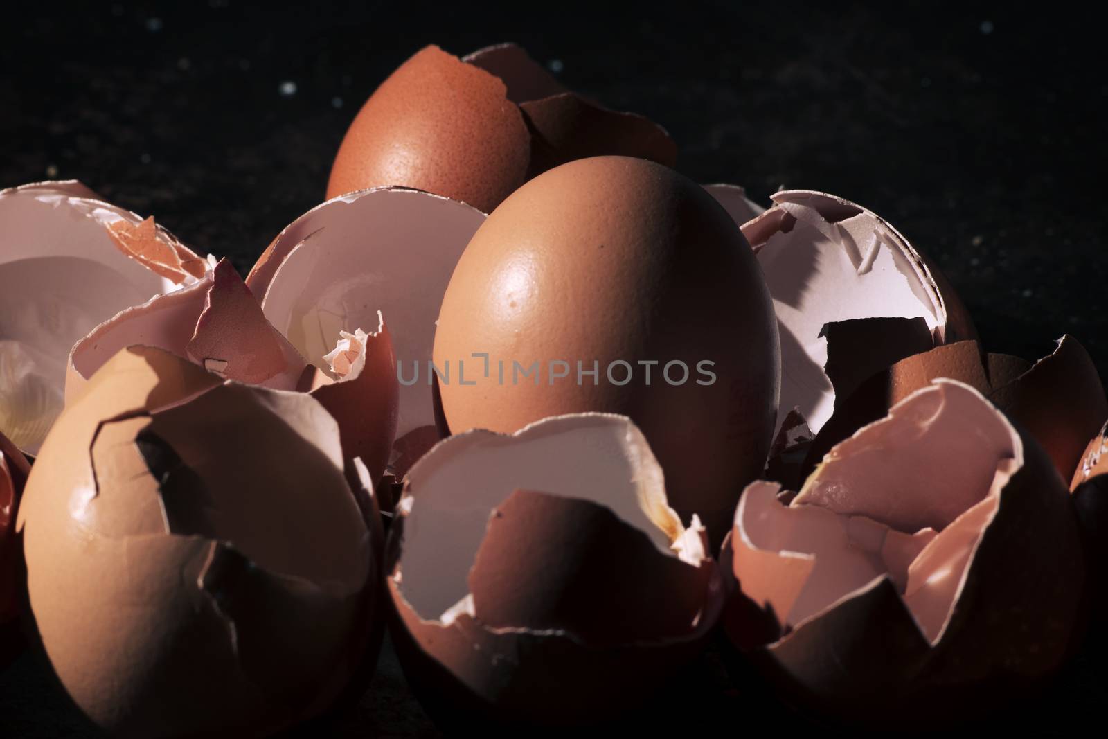 Bunch of eggs whole and crushed shells by artistrobd