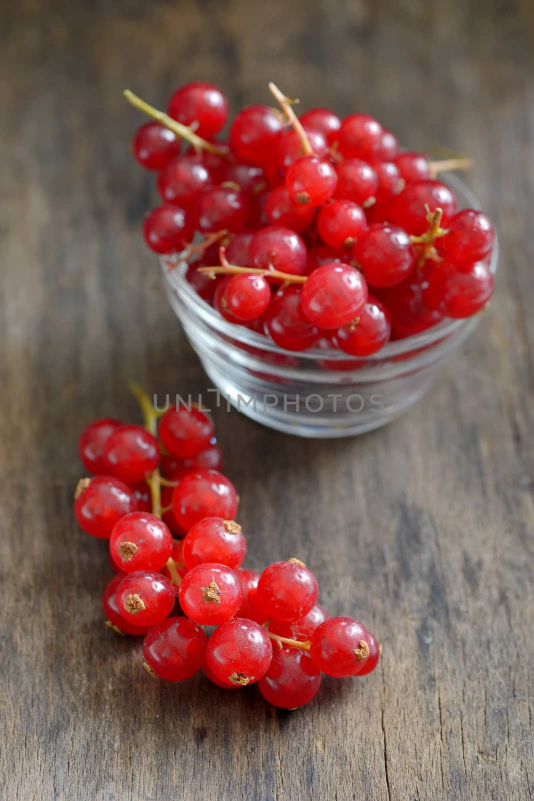 fresh ripe currant on old wood