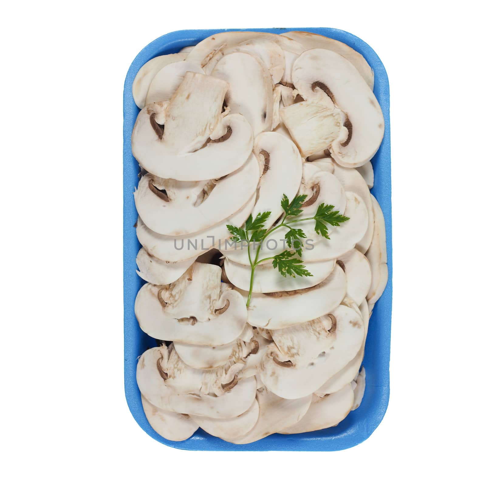 Agaricus bisporus aka champignons mushrooms isolated over white background