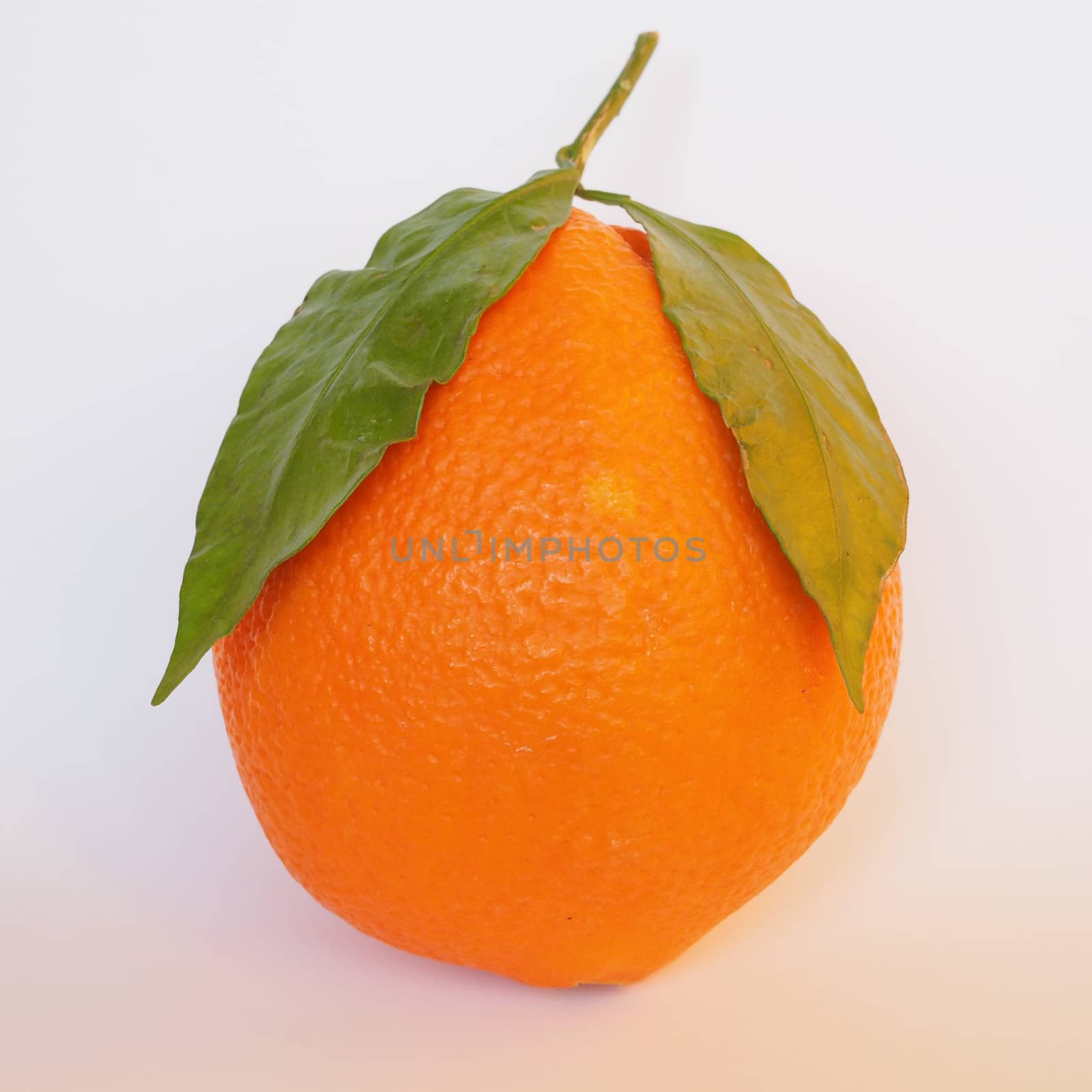 Orange fruits vegetarian food over simple background