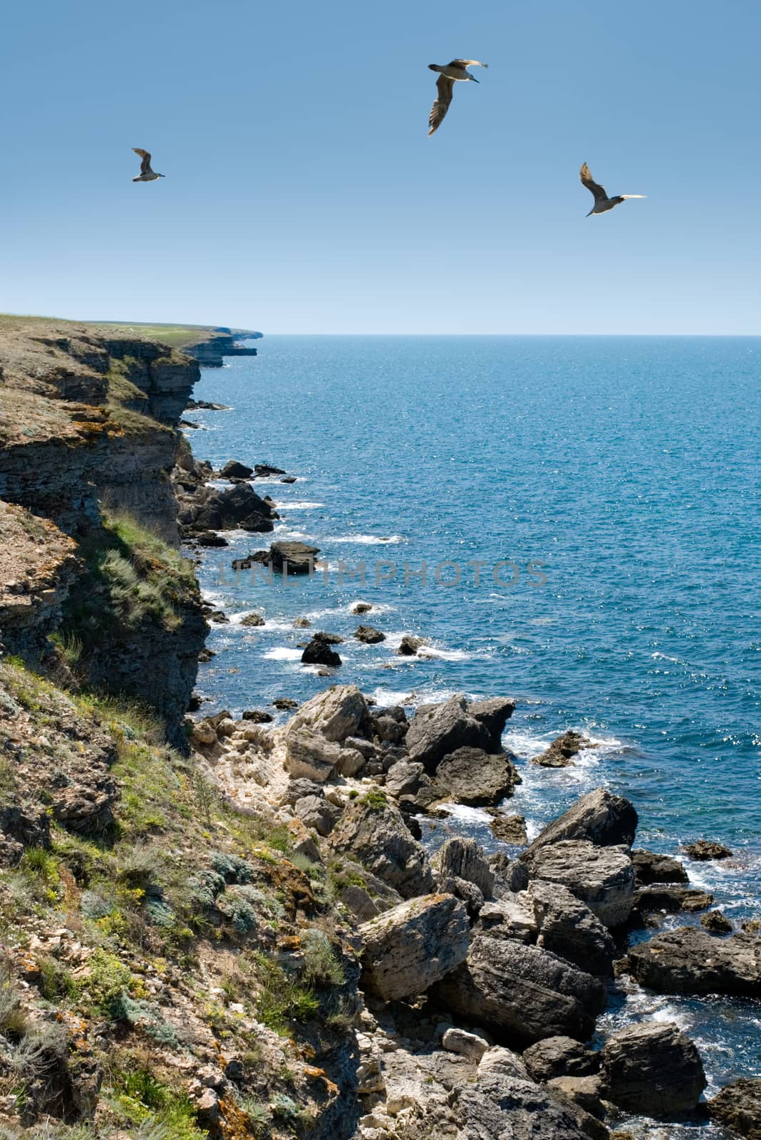 Cape Tarhankut (Ukraine, Crimea) by 800