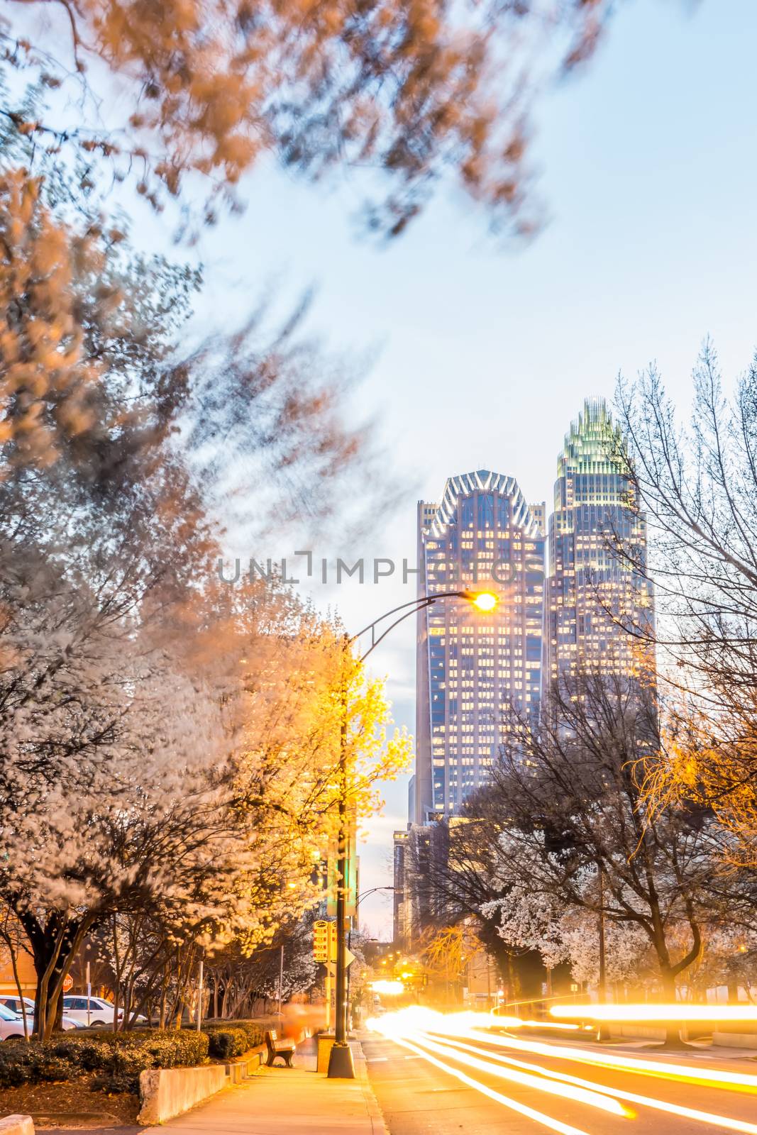 charlotte skyline at dawn hours on a spring evening