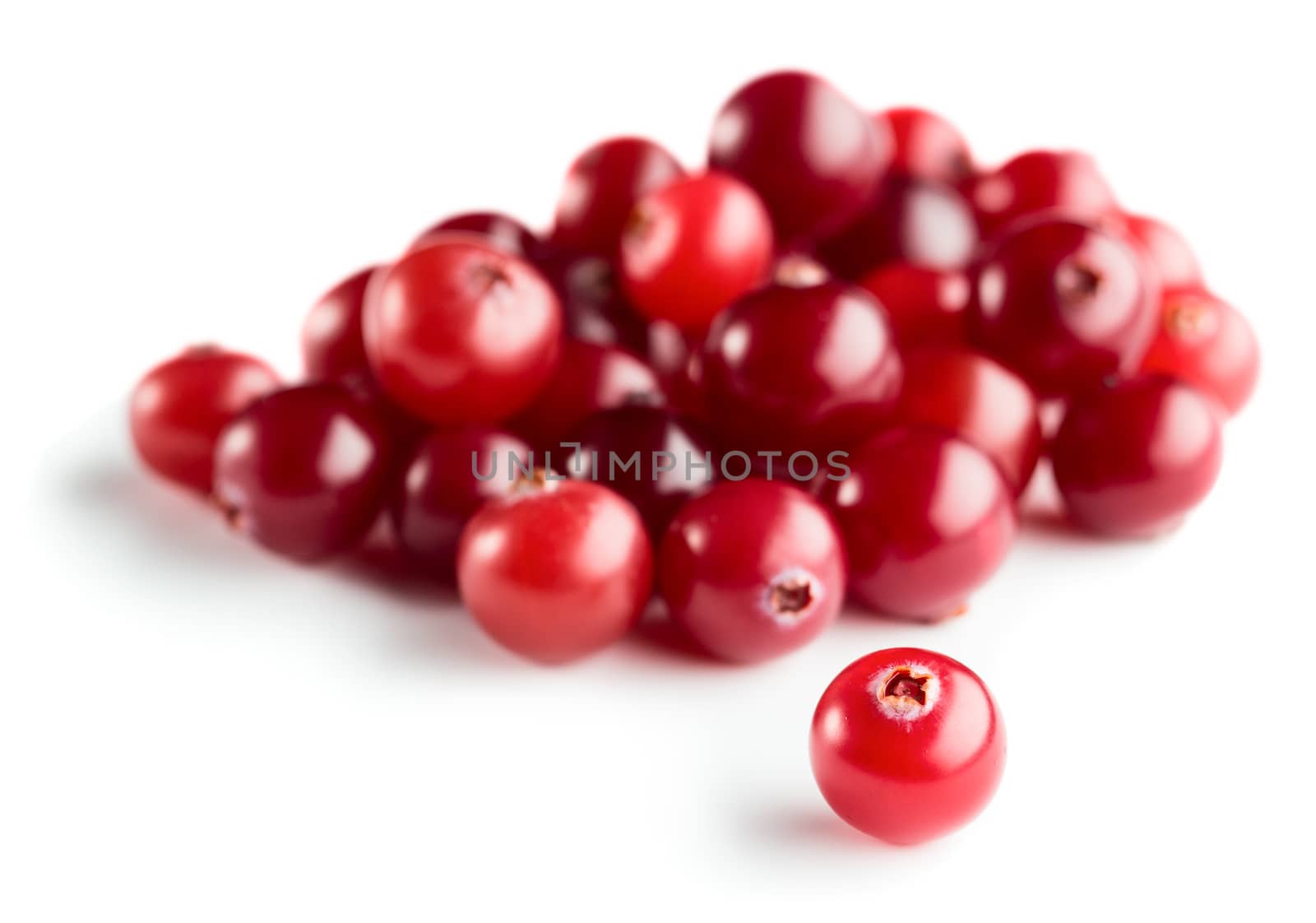 Ripe cranberries isolated on white