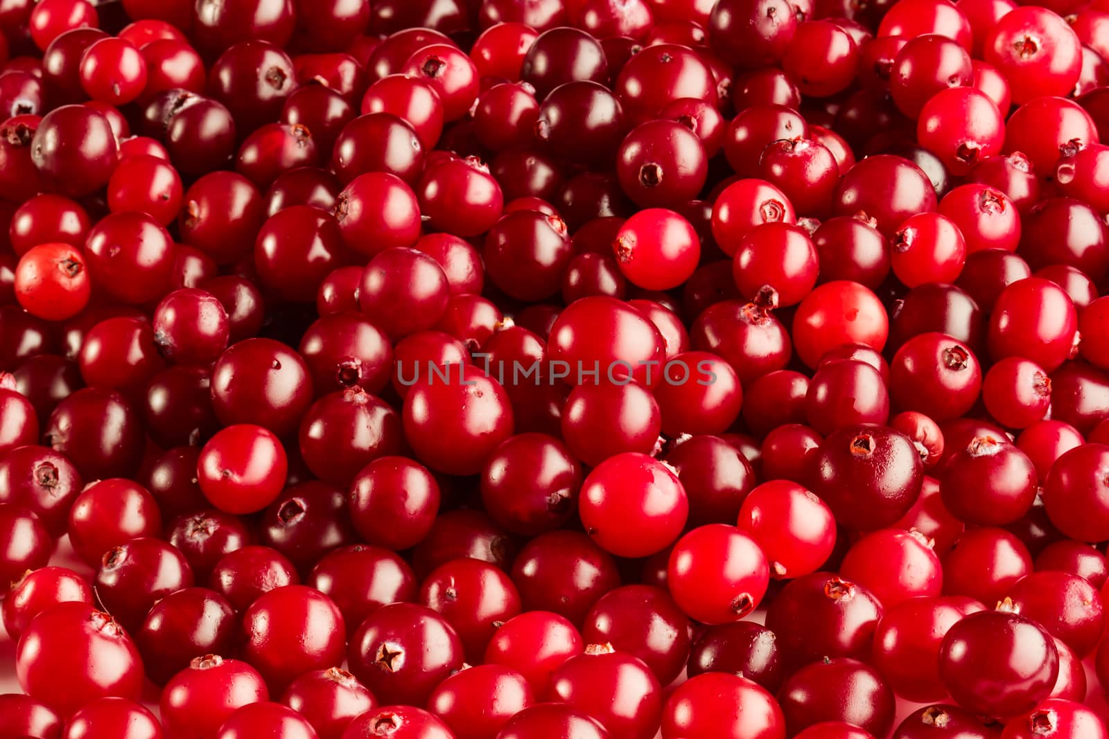 Fresh ripe red cranberries background