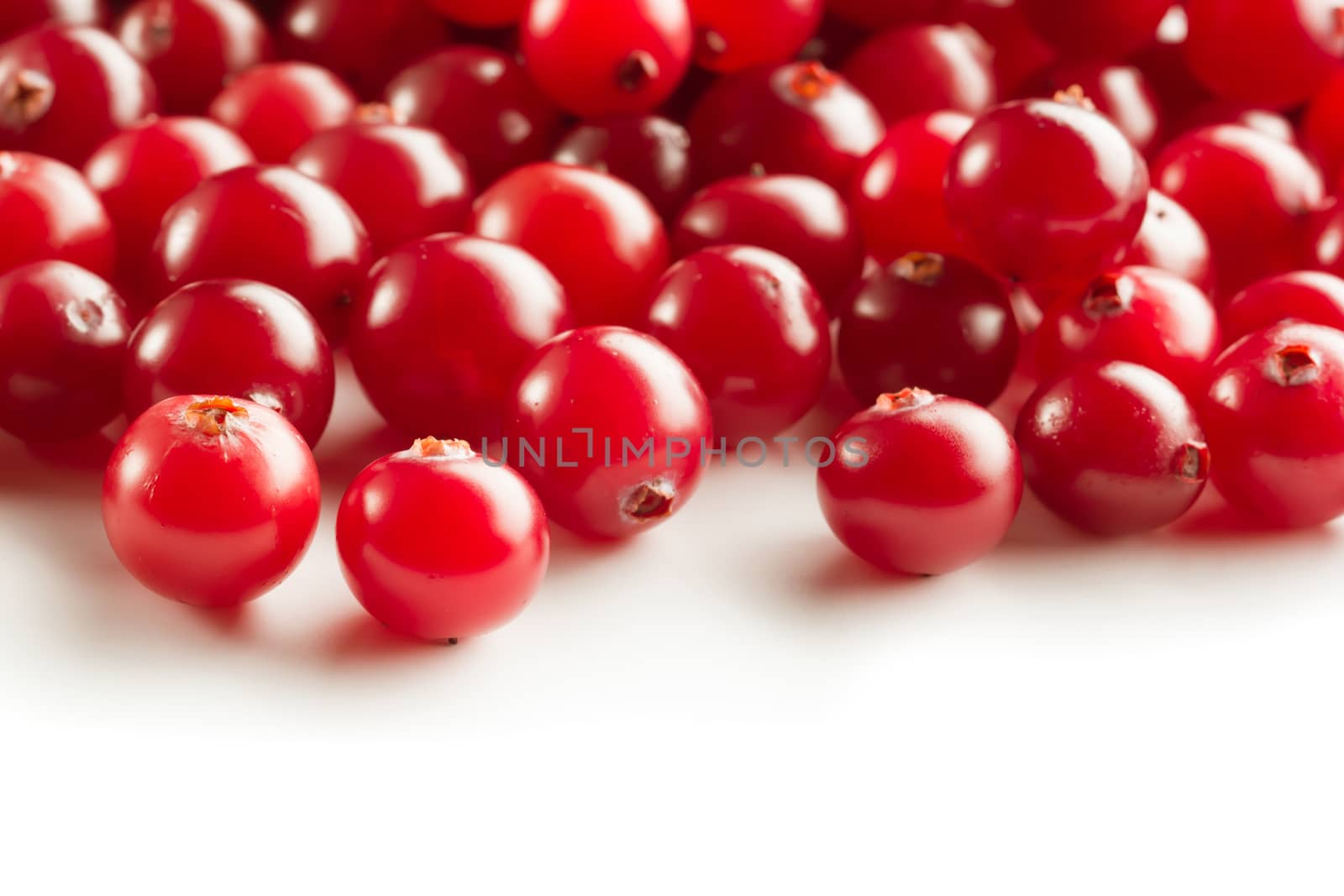 Fresh cranberries on white background