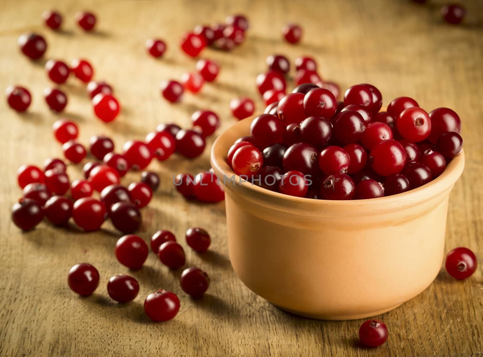 Fresh cranberries on wooden background