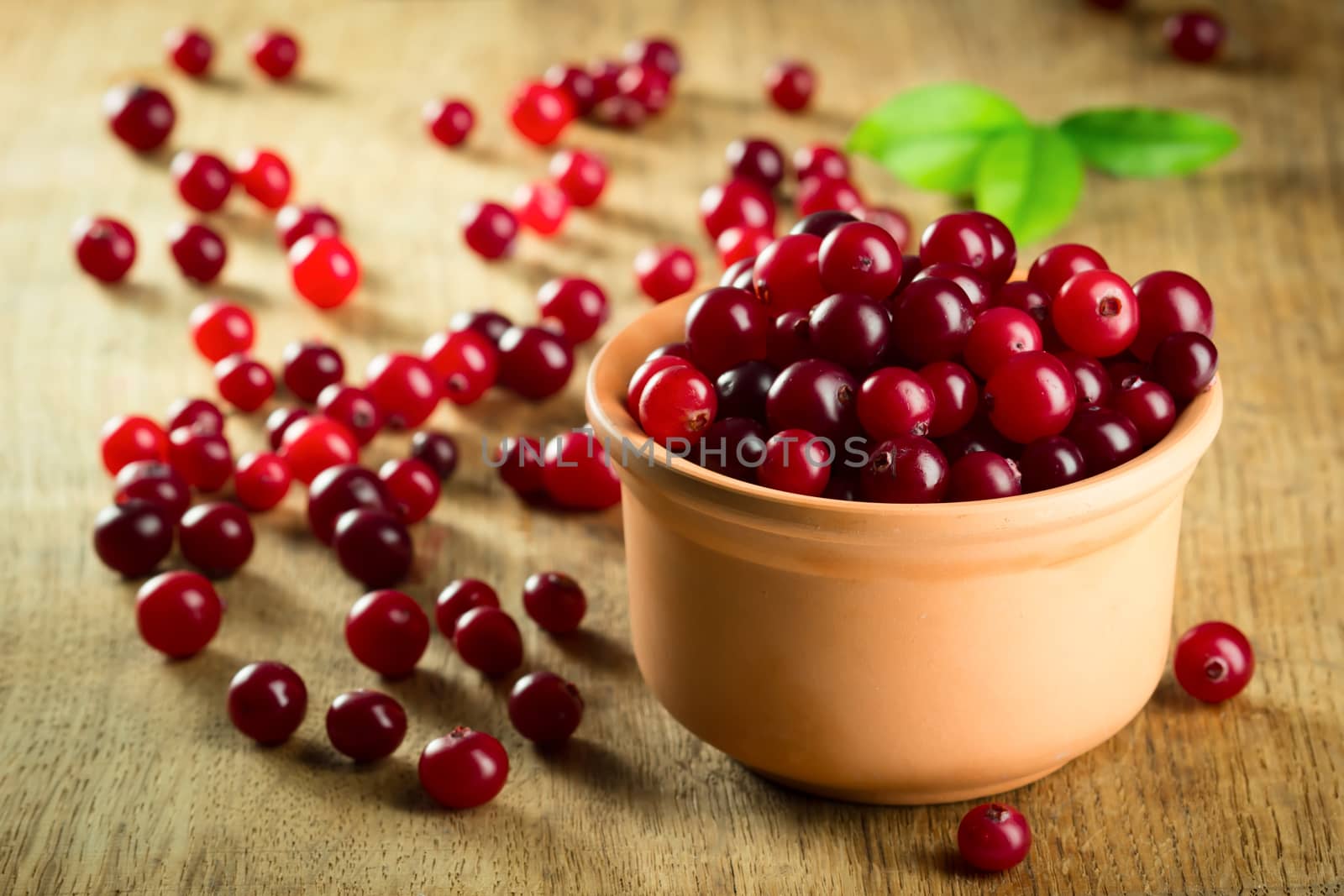 Fresh ripe red cranberries in dish