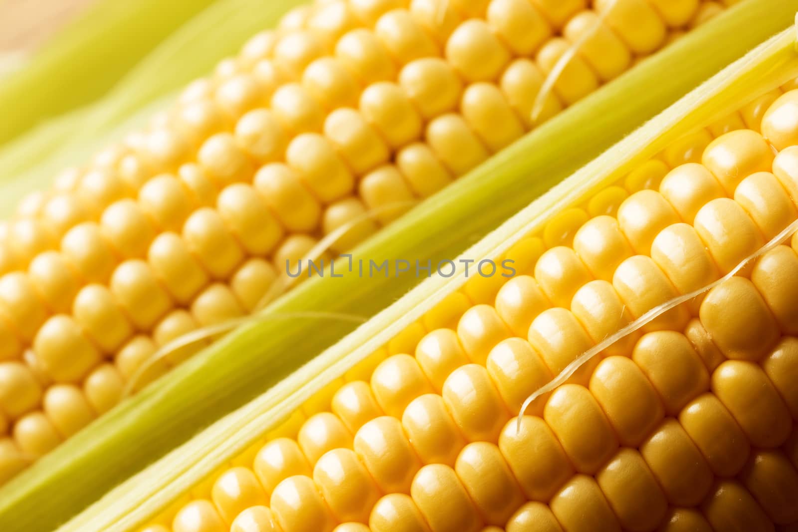 Close up view of fresh corn cobs