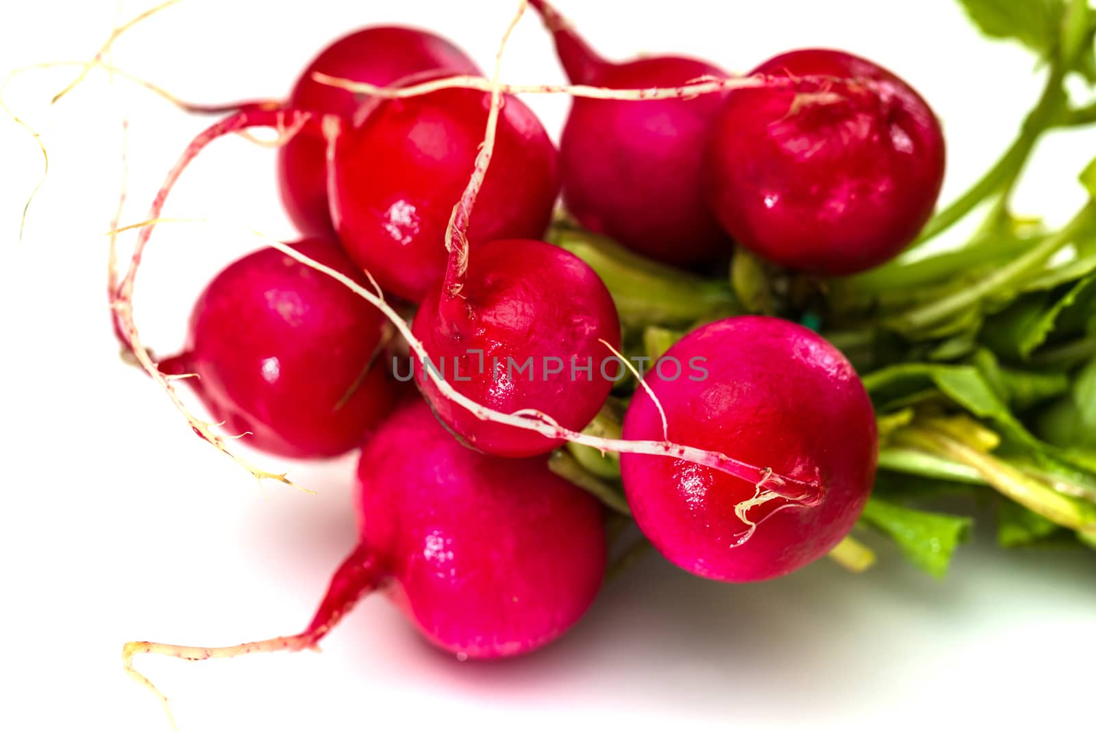 Bunch of fresh red radishes with green tops isolated on white background