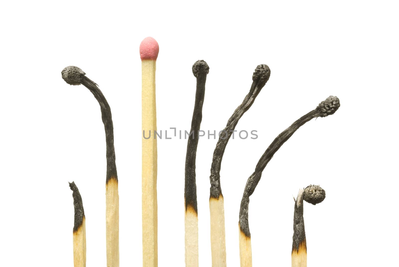 The spoiled matches on a white isolated background (one match the whole).