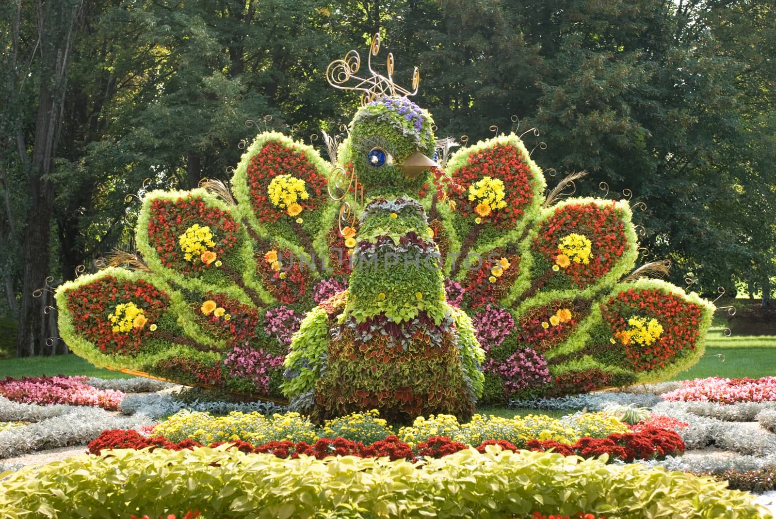 Fantastic bird (made of flowers). Ukraine, Kiev, Singing field.