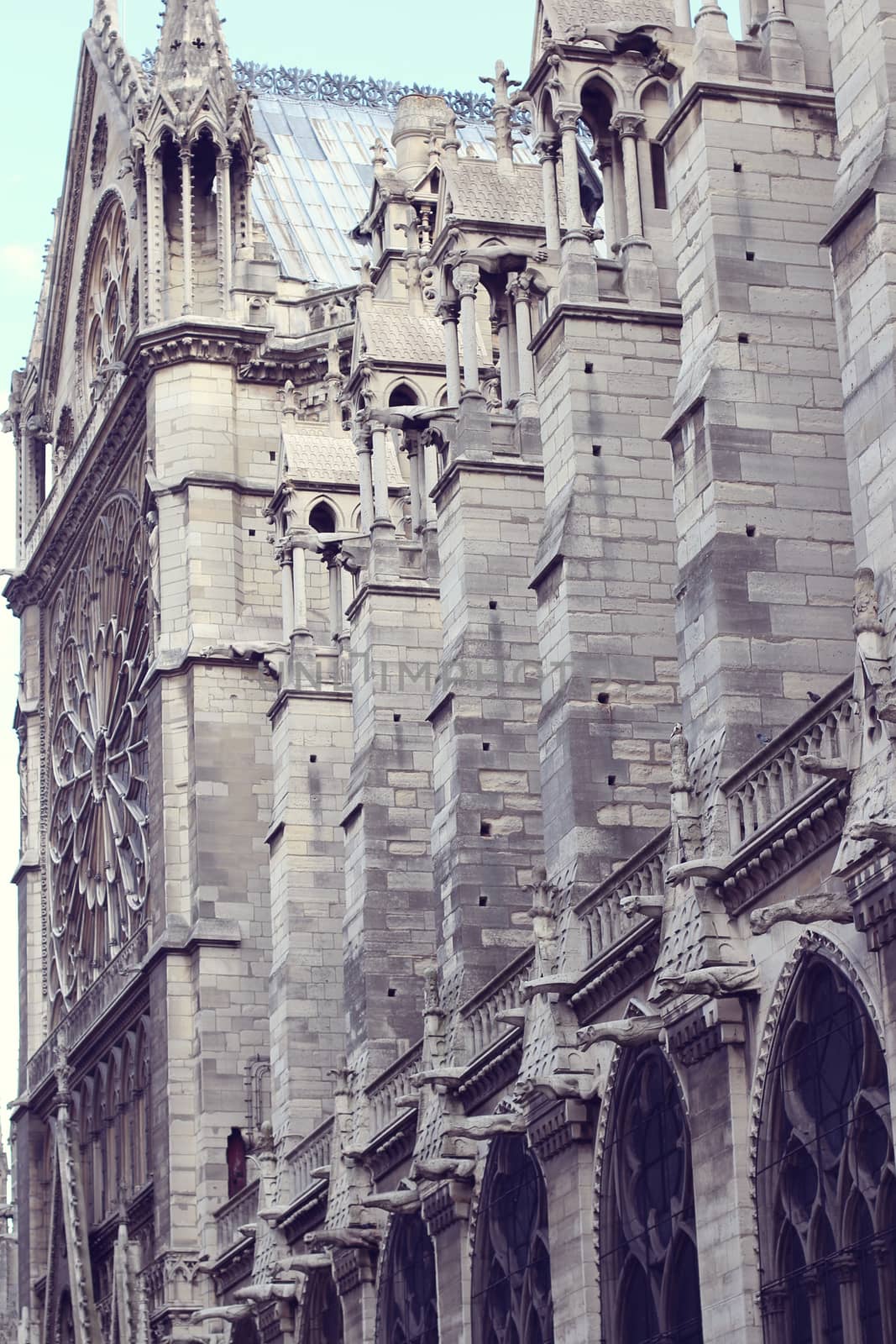 Architectural details of Cathedral Notre Dame de Paris.  by sarymsakov