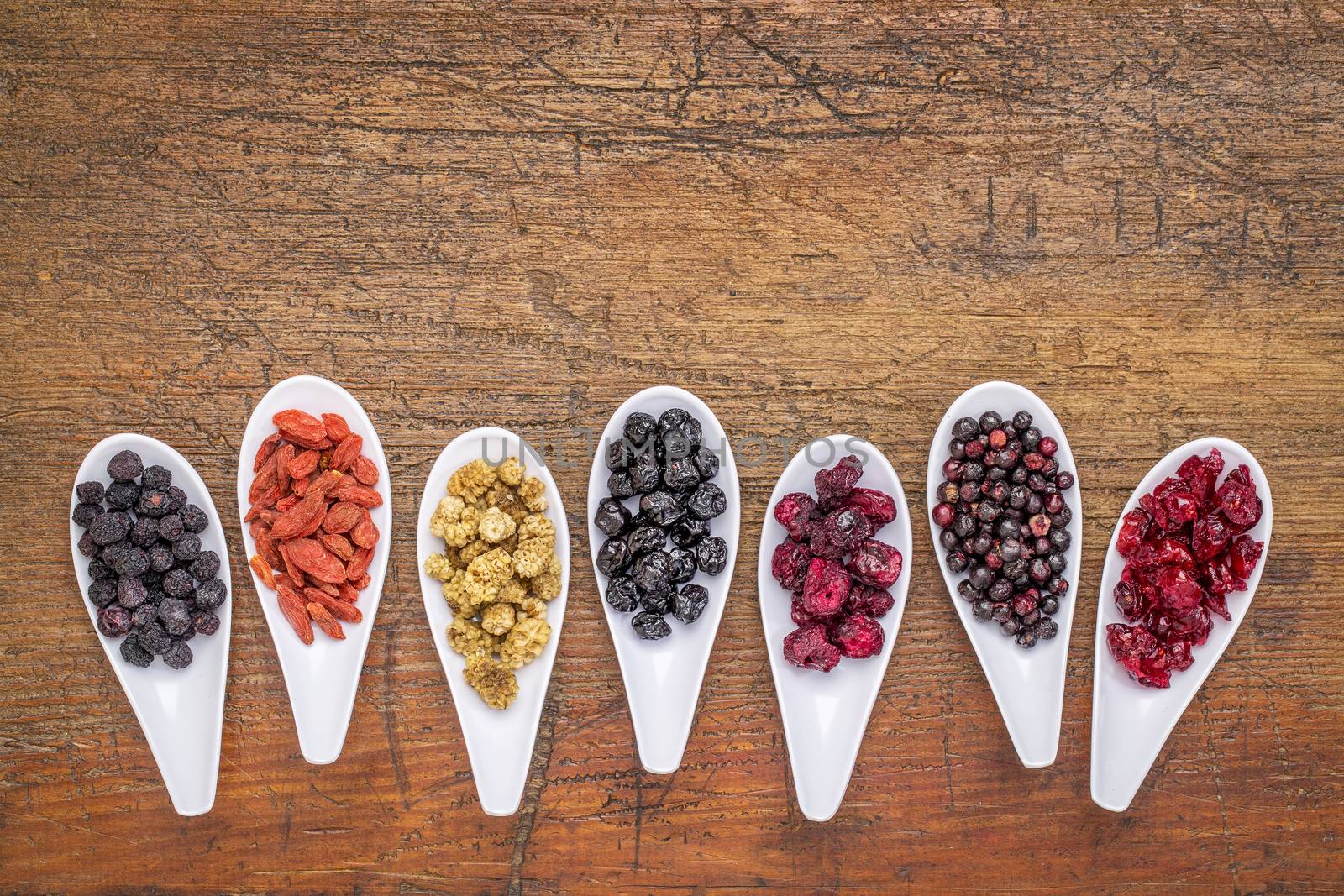 healthy dried berry collection (blueberry, mulberry, cherry, goji, elderberry, chokeberry,) cranberry on  ceramic spoons against rustic wood with a copy space