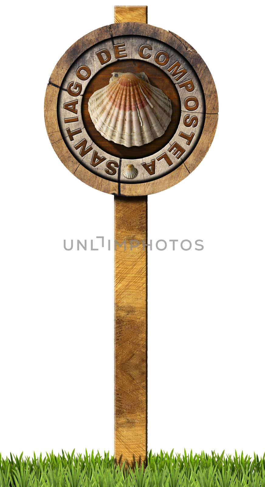 Pilgrimage wooden sign of Santiago de Compostela (Camino de Santiago) with a seashell and text. Isolated on white background with green grass