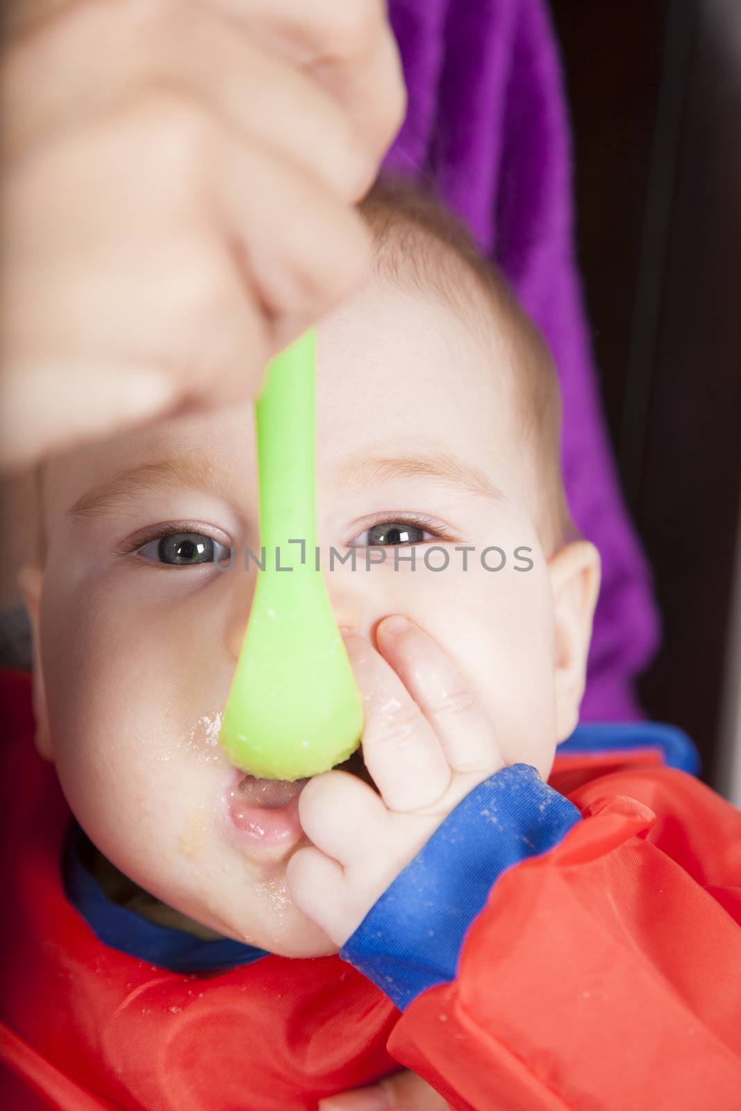 six months age blonde caucasian baby red bib in woman mother purple velvet jacket arms eating puree with green plastic spoon