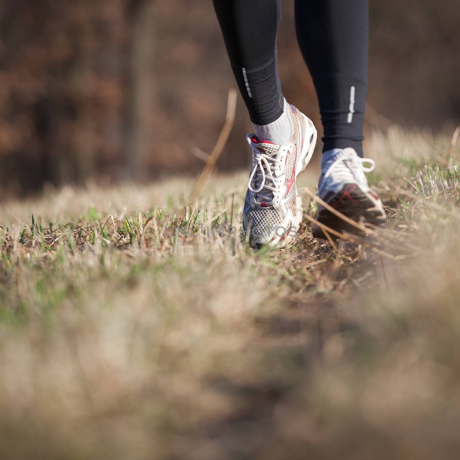 Jogging outdoors in a meadow by viktor_cap