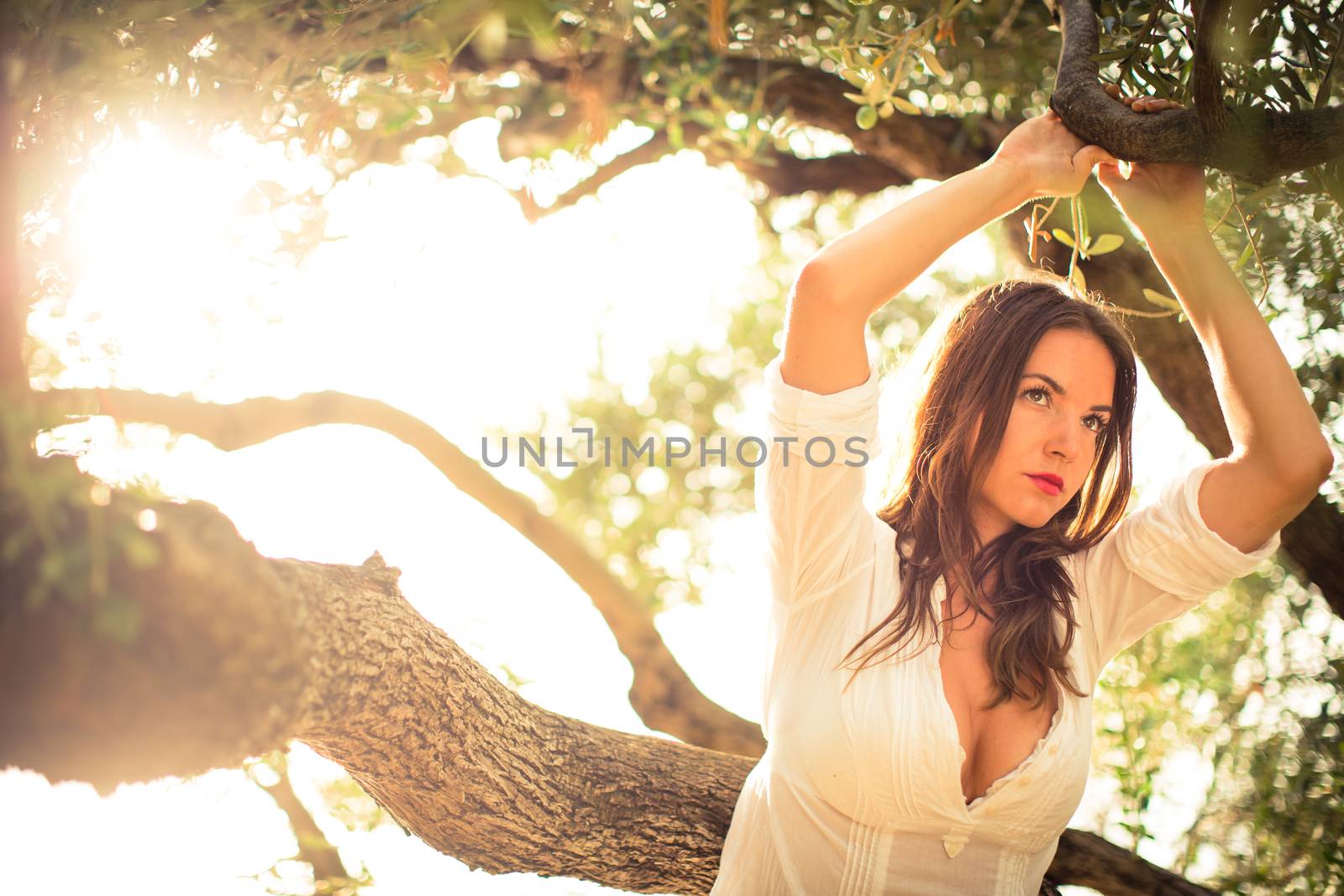 Attractive, young brunette on the beach, amid olive trees by viktor_cap