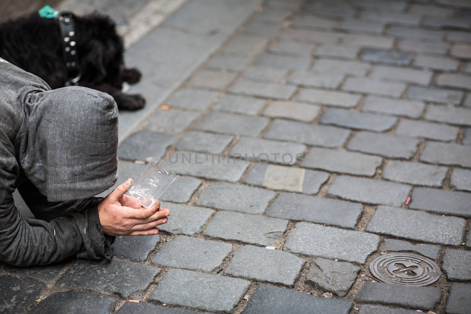 Begger on the street by viktor_cap