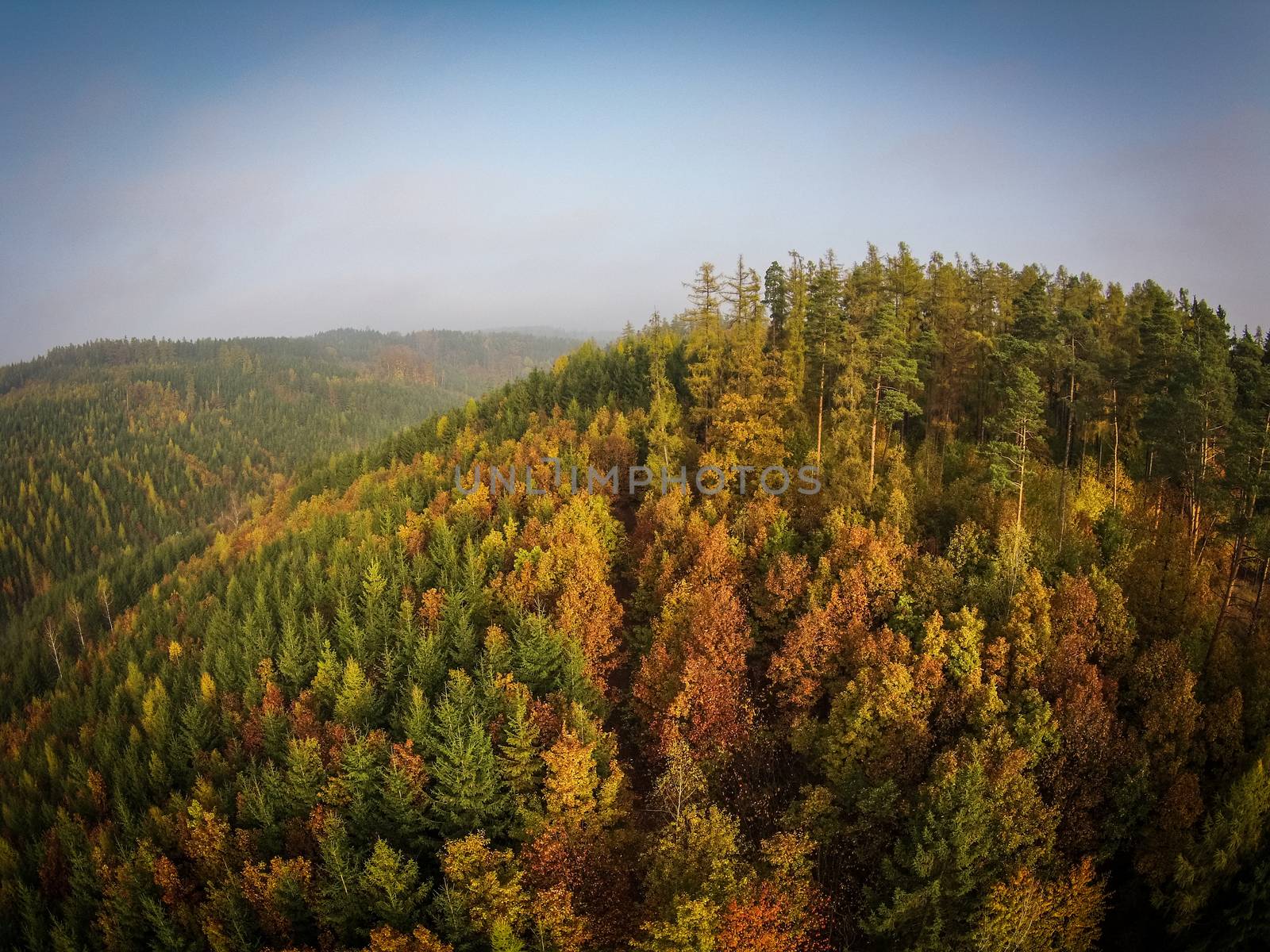 Autumn forest aerial view by viktor_cap