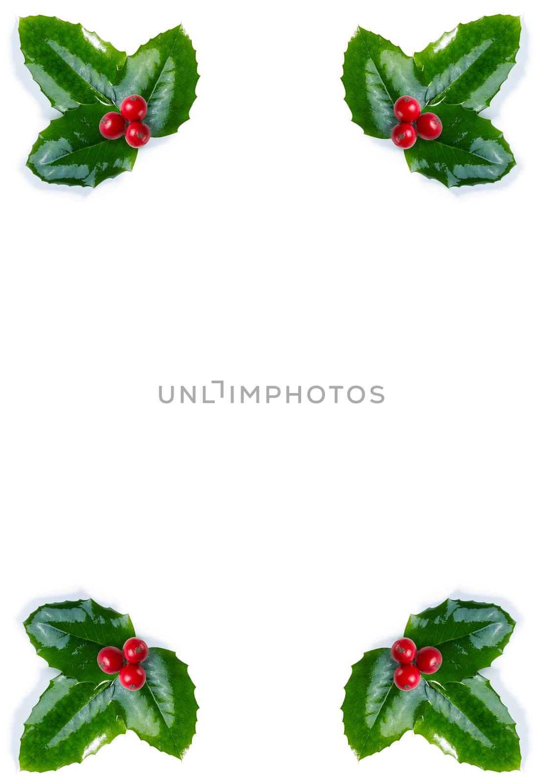 Christmas frame: holly with berries isolated on white background
