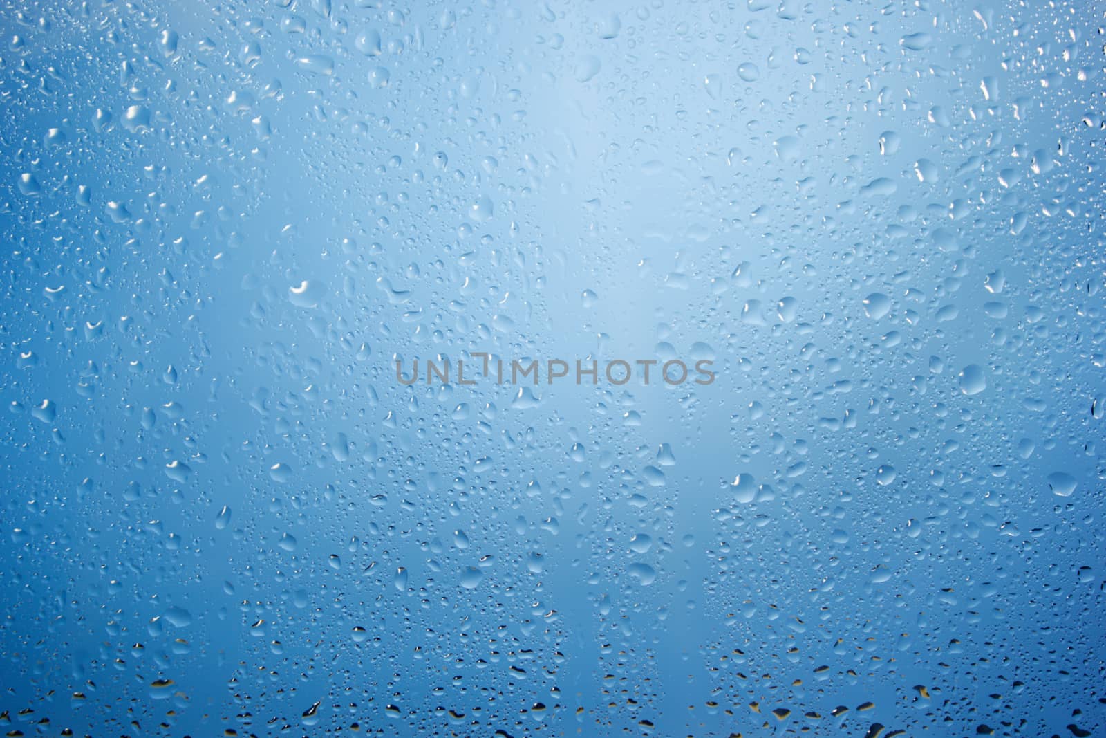 Drops on a glass surface