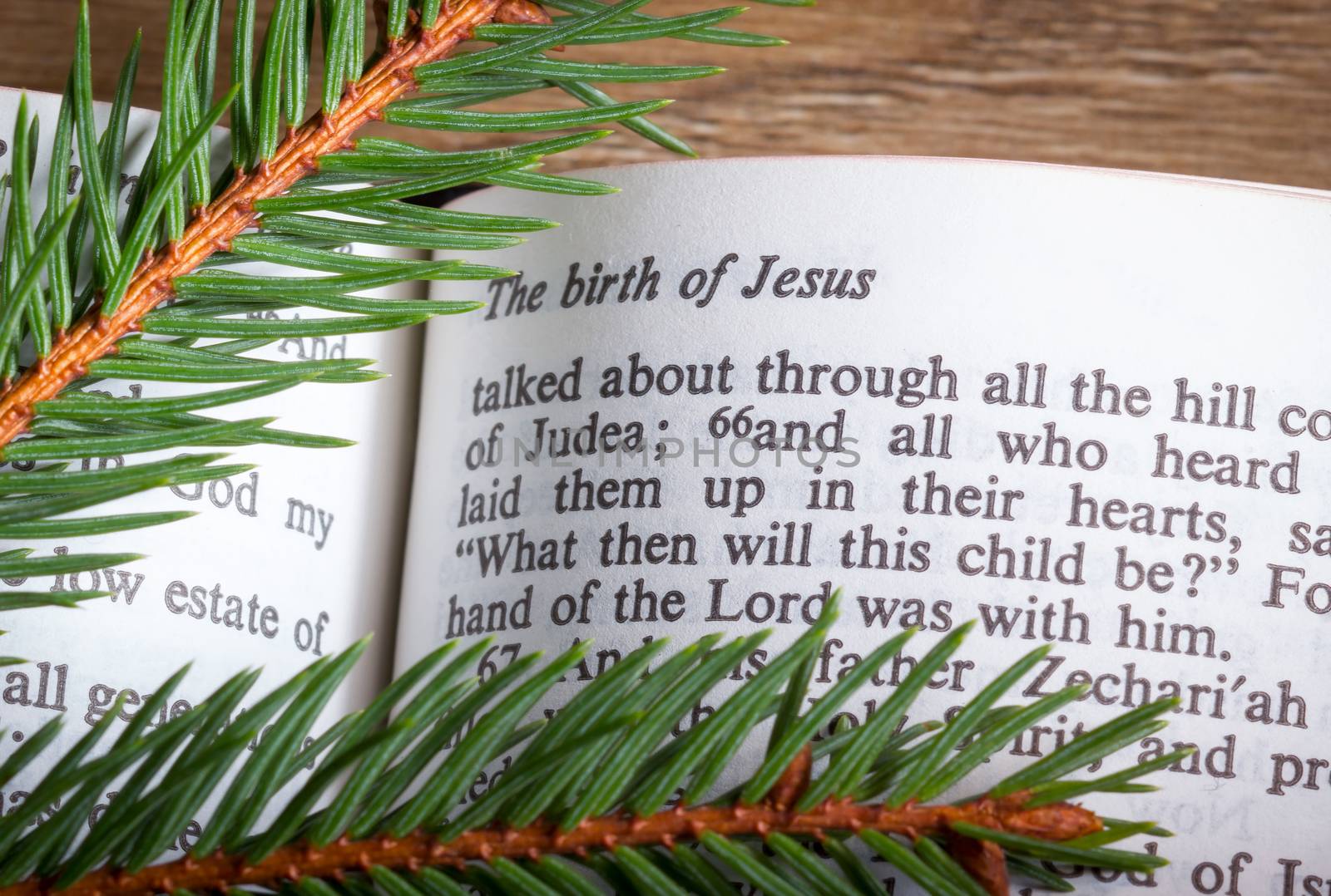 Bible open on Christmas passage