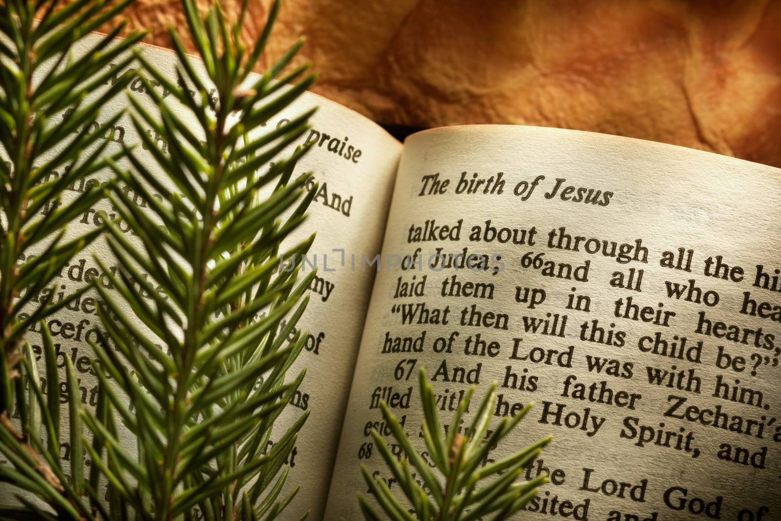 Bible open to Christmass passage with evergreen sprigs
