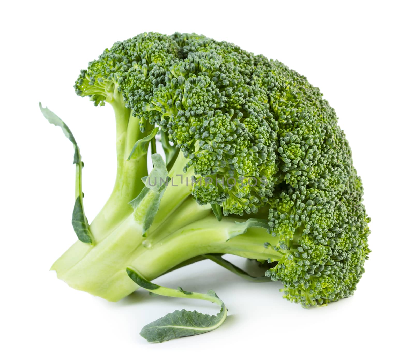 Fresh raw green broccoli isolated on white background