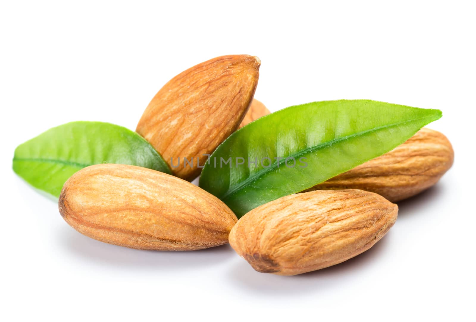 Almonds with leaves by Valengilda