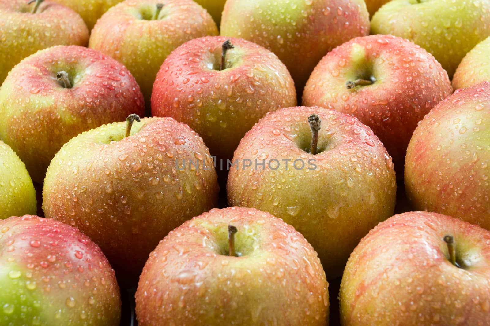 Fresh apples background with water drops