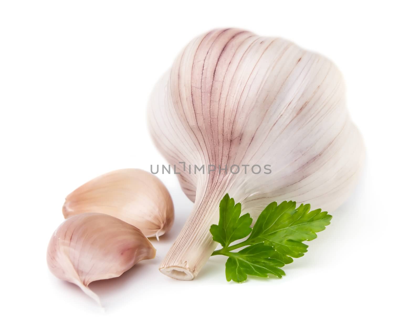 Garlic with parsley isolated on white background