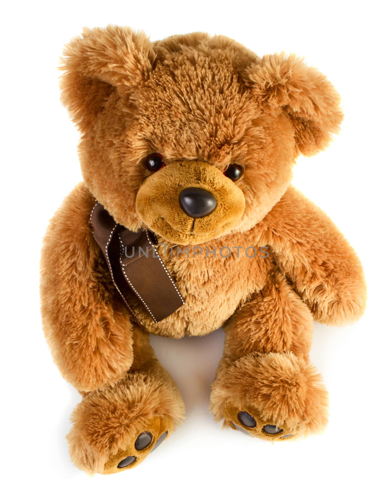 Toy teddy bear isolated on white background