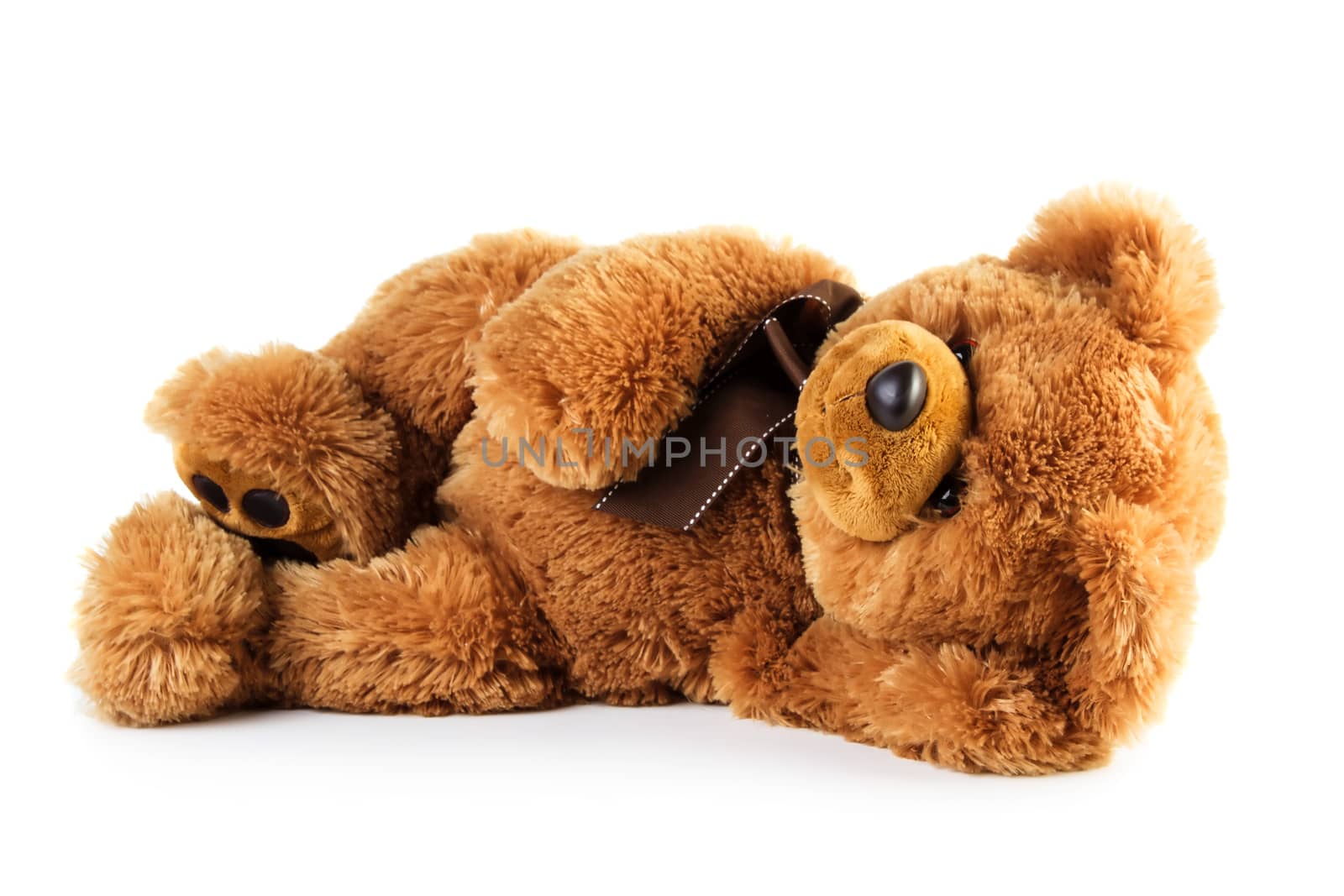 Toy teddy bear lying isolated on white background