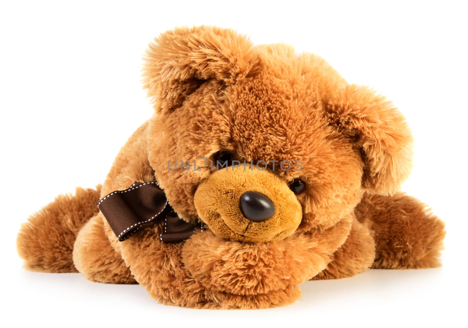 Toy teddy bear isolated on white background