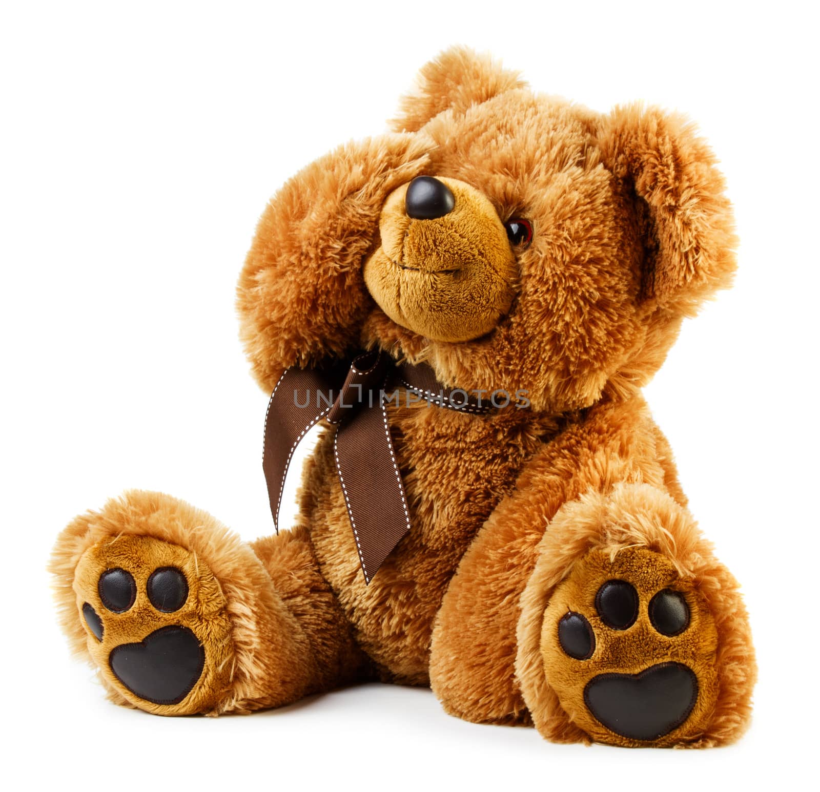 Toy teddy bear by Valengilda