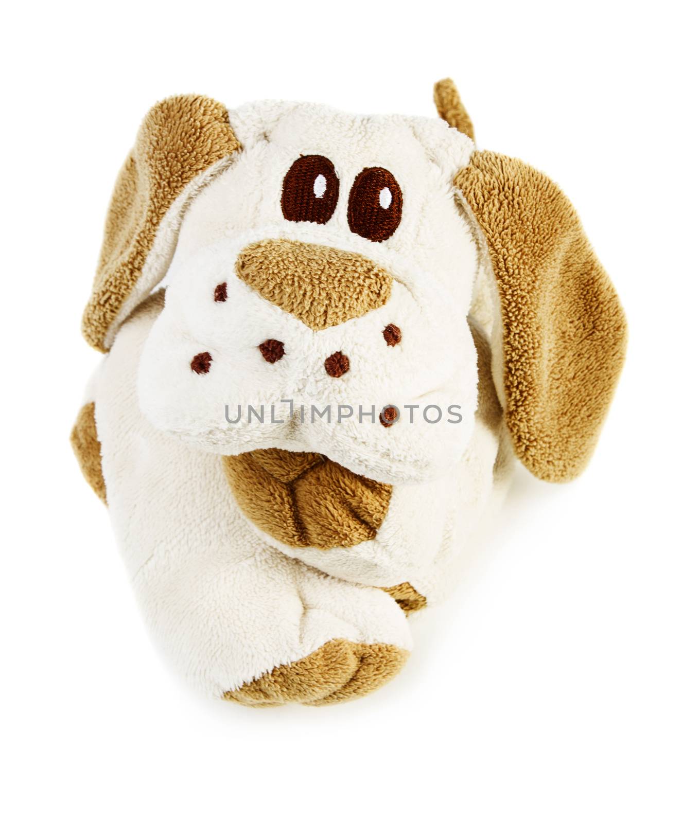 Puppy toy isolated on white background