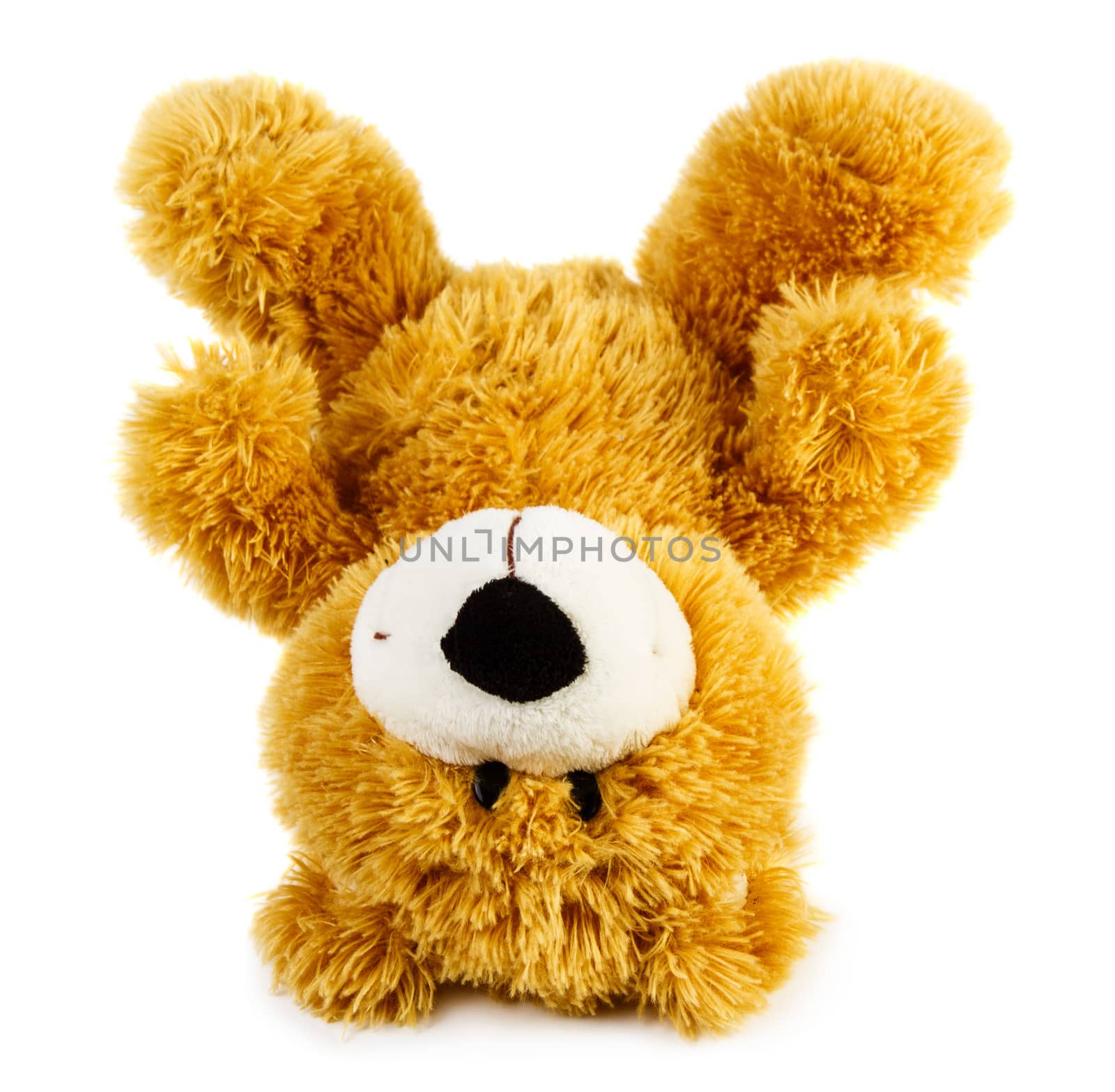 Toy teddy bear isolated on white background